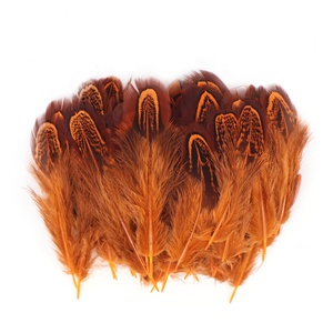 6-10厘米批发高品质染色图案多色雉鸡羽毛中国快递发货珠宝DIY 100件/包48小时送达 - Product Image 4