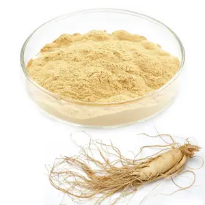 Polvo de raíz de ginseng rojo coreano Extracto de Panax Ginseng 5%-80% Ginsenosides Extracto de raíz de Panax ginseng orgánico