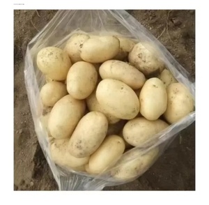<span class=keywords><strong>Patatas</strong></span> Frescas de Alta Calidad 100% Frescas, Precio al por Mayor por Tonelada, Compre a Bajo Precio - Product Image 2