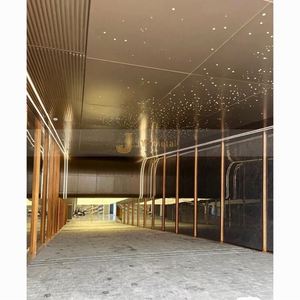 Placa Decorativa de Acero Inoxidable 316L Personalizada OEM para Pared Exterior de Edificios con Servicios de Doblado y Corte - Product Image 4