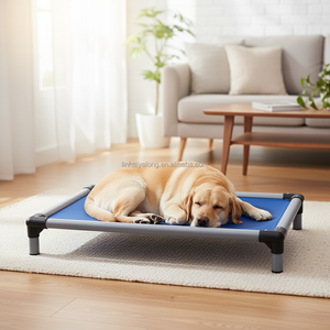 Cama plegable de PVC para perros de lujo para exteriores, colchoneta de verano ecológica y refrescante para dormir, camas elevadas para perros con patrón sólido para mascotas y gatos - Product Image 3