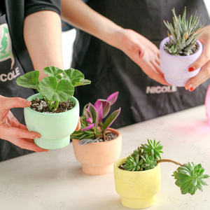 <span class=keywords><strong>Nicole</strong></span> Home-maceta creativa de resina de cemento para macetas, recipiente de almacenamiento de hormigón, recipiente de vela, molde de silicona - Product Image 4