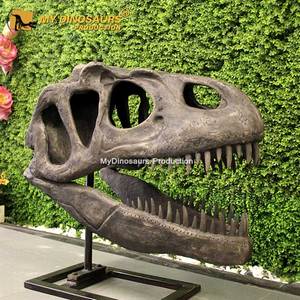 Của Tôi Dino Sợi Thủy Tinh Nhựa Khủng Long Lớn Allosaurus Đầu Sọ Bản Sao Trong Màn Hình Hiển Thị Hội Trường - Product Image 2
