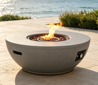 Cheminée à gaz portable en acier, gain de place, foyer au propane durable et écologique, commande par bouton, haute pression/sécurité flamme pour