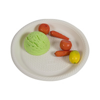 Assiette de fête en fécule de maïs biodégradable et compostable écologique