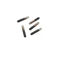 Puce de clé de voiture à distance ID48 Transpondeur de voiture RFID Glass Tag Unlock/Lock Chip pour VW/Audi/Skoda/Seat