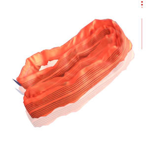 10tラウンドウェビングベルトスリング100% ポリエステルリフティング機器 - Product Image 2