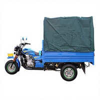 Tricycle à essence personnalisé 150cc, grande capacité de chargement, rickshaw à essence robuste, tricycle à essence à usage intensif, moto motorisée