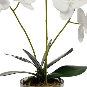 ดอกไม้กล้วยไม้ผ้าไหมสีขาวสัมผัสได้จริงเป็นมิตรกับสิ่งแวดล้อม - Product Image 3