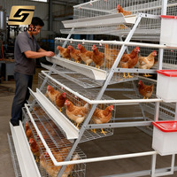 Nouvel équipement optimal pour l'élevage avicole : Cage en batterie pour poules pondeuses, pour l'élevage de poulets et la production d'œufs