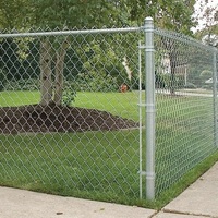 Fabrieks prijs 50*50mm 60*60mm gaas 1,8m hoog gegalvaniseerd PVC gecoat privacy kettinggaas voor omheining in rollen