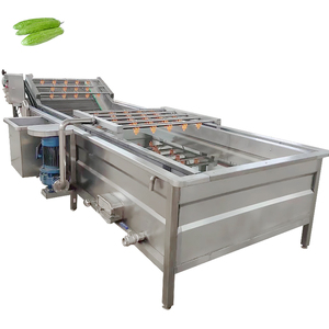 Machine à laver les fruits et légumes de qualité export, machine à nettoyer les légumes à feuilles, machine à laver les légumes à bulles - Product Image 1