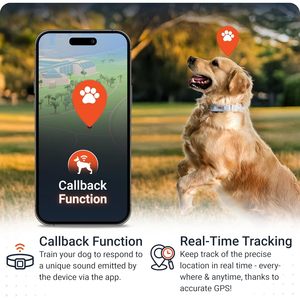 Rastreador GPS para Perros PAJ 4G con Rastreo en Tiempo Real, Cerca Virtual y Monitoreo de Actividad y Salud - Product Image 2