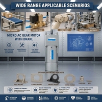 Moteur asynchrone à engrenages micro 220 V CA avec frein, faible taux de défaillance, pour petites machines d'emballage et accessoires textiles