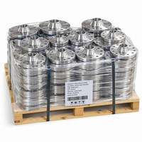 Brida Ciega de Acero Inoxidable 304 Directa de Fábrica para Prueba de Presión, Certificada ISO 9001, ASME B16.5 CL150 RF NPS 1/2-24