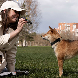 Collier de dressage pour chien Yaobang PTA1009 1600FT IP67 étanche rechargeable en plastique, dispositif <span class=keywords><strong>anti</strong></span>-<span class=keywords><strong>aboiement</strong></span>, autonomie de la batterie >20 heures, 3 modes - Product Image 6