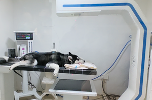 動物用CTスキャン装置 ペットCTスキャナー 90cm大口径 大型ペット対応 低線量 4-in-1獣医画像システム - Product Image 2