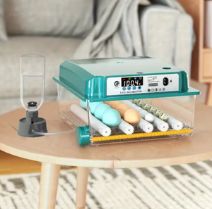 Incubateur d'œufs de dinde entièrement automatique avec contrôle intelligent de la température et retournement des œufs, conception pour l'élevage commercial - Product Image 3