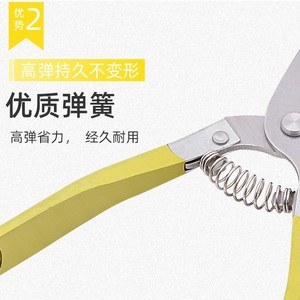 Nice <b>Pruning</b> Shears 6.5 In Alloy Steel Straight Head For Fruit <b>Trees</b> And Branches Garden <b>Tools</b> - Product Image 4