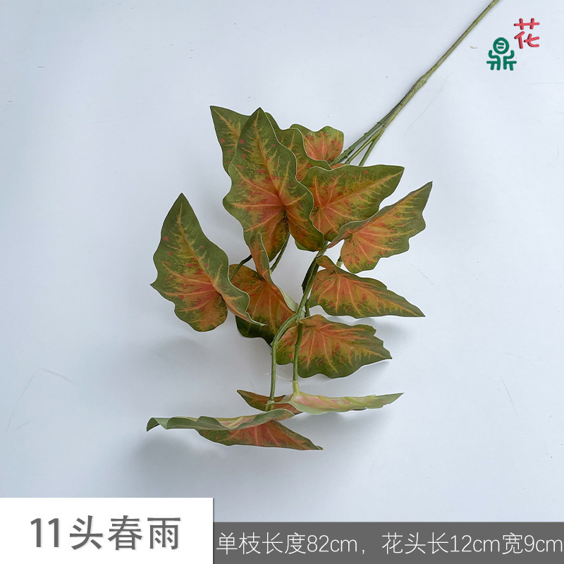 11 Spring Rain JH Noyau Rouge Vert