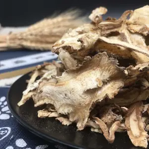 Wholesale Dang Gui Dried Chinese Angelica Supply Bulk Chinese Whole Dried Angelica Sinensis Cut For Drinking