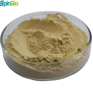 Food Additive Zinc Enriched Yeast 20000 PPM