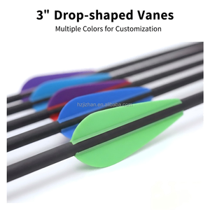 Lot de flèches en carbone mixtes de 7,8 mm, spine 500-600, pointe vissée de 100 grains, 30-31 pouces, pour entraînement professionnel au <span class=keywords><strong>tir</strong></span> <span class=keywords><strong>à</strong></span> <span class=keywords><strong>l</strong></span>'<span class=keywords><strong>arc</strong></span> - Product Image 5