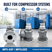 Válvula de Presión Mínima Serie Red Star MPV-65 MPV-80 MPV-100T-Y, Piezas de Compresor Universales de Alta Calidad