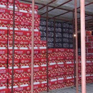 Táo tươi Trung Quốc Fuji Apple giá bán buôn trái cây tươi với số lượng lớn sơn đông xuất xứ - Product Image 6