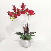 Bunga Anggrek Kupu-kupu Pesanan Khusus Terbaru Set Tanaman Bonsai Pot Anggrek Phalaenopsis Anggrek Sentuhan Nyata