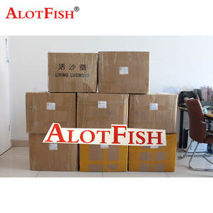 Sec <span class=keywords><strong>Bibi</strong></span> Leurre De Pêche Appât De Poisson AlotFish - Product Image 1