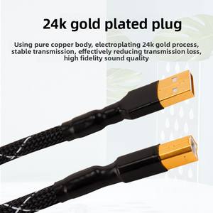 American <span class=keywords><strong>Monster</strong></span> kabel Data USB suara mikro Mini, kabel Audio USB tembaga kristal tunggal tipe-c ke Port persegi untuk proyektor dan A-B - Product Image 3