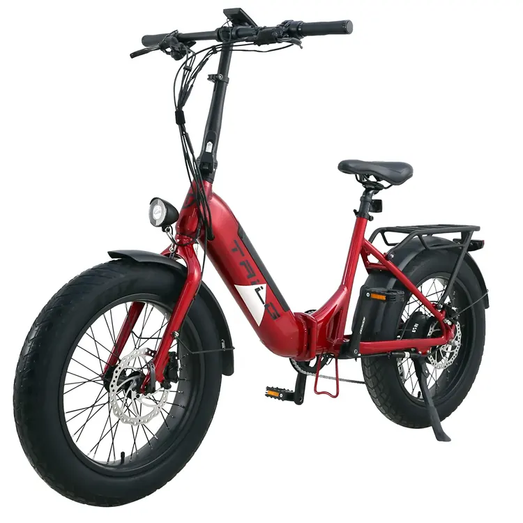 Tailg prezzo all'ingrosso Beach Cruiser bicicletta ibrida bici da neve elettrica