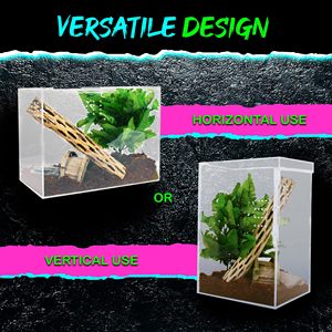 Özel sürüngen teraryum W/sürgülü manyetik kapı akrilik Terrarium Tarantula muhafaza akrilik kafes - Product Image 2