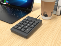 OEM portabel akuntansi keuangan kabel proyeksi numerik Keypad K20 19 kunci USB Plug and Play dapat diprogram antighosting baru