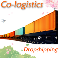 Co-logistique Expédition de conteneurs complets (FCL) Guangdong Belgique Conteneurs 20GP/40GP/40HQ Expédition en 15 jours Assurance Support 24/7