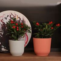 Jardinières modernes en plastique PP à rayures cylindriques avec trous de drainage pour plantes succulentes d'intérieur et plantes au sol
