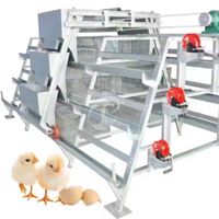 Cage d'élevage de poulets de type A Cage d'élevage de volailles pour bébés poussins