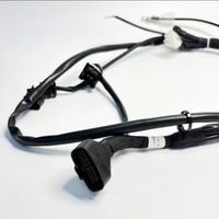 Câble de capteur d'oxygène pour faisceau de câblage de contrôle EFI de drone agricole pour moteur UAV D14000iE D125000iE T70 T70P 0725