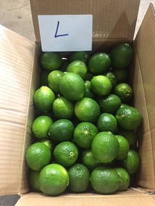 <span class=keywords><strong>2025</strong></span> Bán Buôn Không Hạt Chanh Tươi Từ Việt Nam Giá Rẻ Giá 100% Tươi Lime/Citrus Trái Cây - Product Image 4