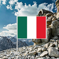 Bandera para Ventana de Auto de EE. UU., Canadá y México 2026, 30x45cm, de Poliéster de una Sola Cara, con Diseño Deportivo, Personalizable con Cualquier Bandera