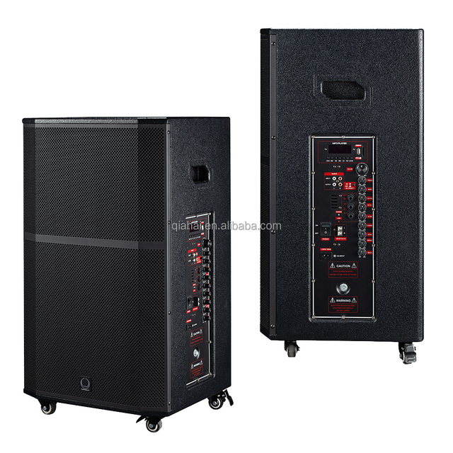 T12 Active 12 Inch Portable Woofer Speaker Box 350W RMS Plywood Pro Audio Performance DJ Music Concert Stage Party School Show