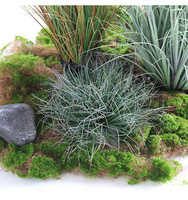 Plantes artificielles délicates en pot, fleurs en tulle en plastique, pampas écologiques de haute qualité pour usage intérieur, emballées en sacs