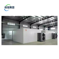 Junxu Voedseldroogmachine Fruit Drogende Fruit-En Groenteverwerkingsmachines N Zaaddroogmachine