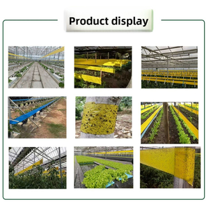 Cinta Adhesiva para Insectos de Doble Cara, Extra Gruesa, de Alta Adhesión, Resistente al Agua, para Jardinería Doméstica - Product Image 4