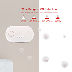 <span class=keywords><strong>EN50291</strong></span> Autônomo Independente Barato Monóxido De Carbono <span class=keywords><strong>Detector</strong></span> De Monóxido De Carbono <span class=keywords><strong>Detector</strong></span> De Monóxido De Carbono Do Alarme <span class=keywords><strong>CO</strong></span> com 2 anos de vida útil da bateria - Product Image 3