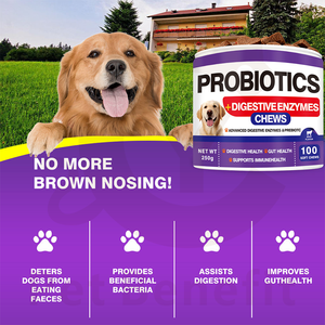 Suplemento Intestinal Probiótico para Mascotas OEM/ODM, Masticables Blandos para el Apoyo Digestivo, Prebióticos, <span class=keywords><strong>Enzimas</strong></span> <span class=keywords><strong>Digestivas</strong></span>, Promueve la Salud Intestinal - Product Image 5