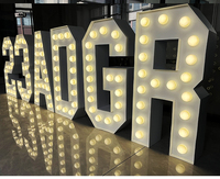 Letras y Números LED Personalizados con Luz Cálida para Bodas, Bares y Fiestas, OEM, 1 Pieza MOQ