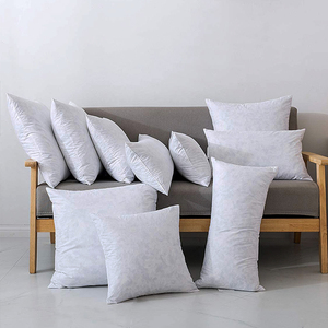 Factory Wholesale Cheap <strong>Duck</strong> Feather <strong>Cushion</strong> Insert <strong>Down</strong> Pillow Relieve Back Pressure Pillow Waist <strong>Cushion</strong> - Product Image 1