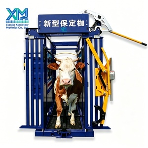 Chute <span class=keywords><strong>de</strong></span> compression hydraulique robuste pour le manutention du bétail, galvanisée, manuelle, fabriquée par un fabricant spécialisé - Product Image 1